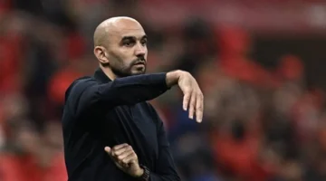 صراع المدربين.. وليد الركراكي ينتقد تصريحات حسام حسن حول الكرة الإفريقية وأداء المنتخبات